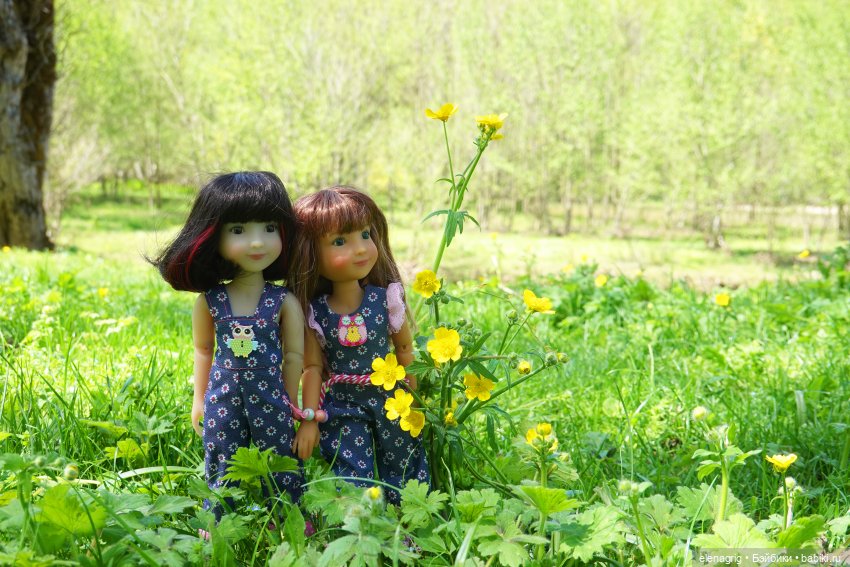 Куклы Ruby Red, Руби Ред