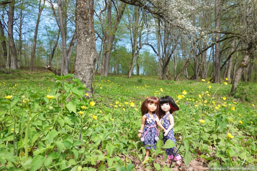 Куклы Ruby Red, Руби Ред