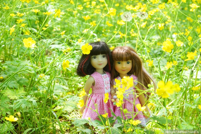 Maru &amp; Friends dolls и  Ruby Red, Руби Ред