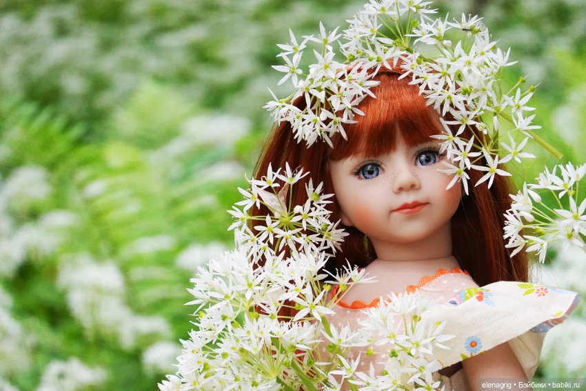 Maru &amp; Friends dolls