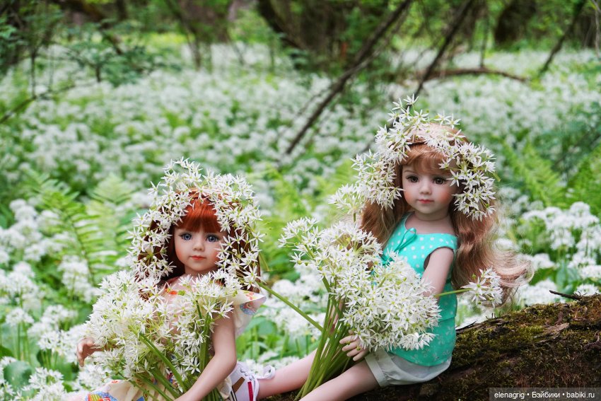 Maru &amp; Friends dolls