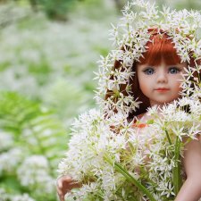 Черемша цветёт