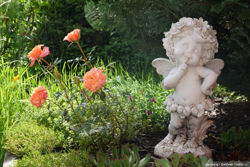 После дождя — Красивая природа и цветы: фото пейзажей