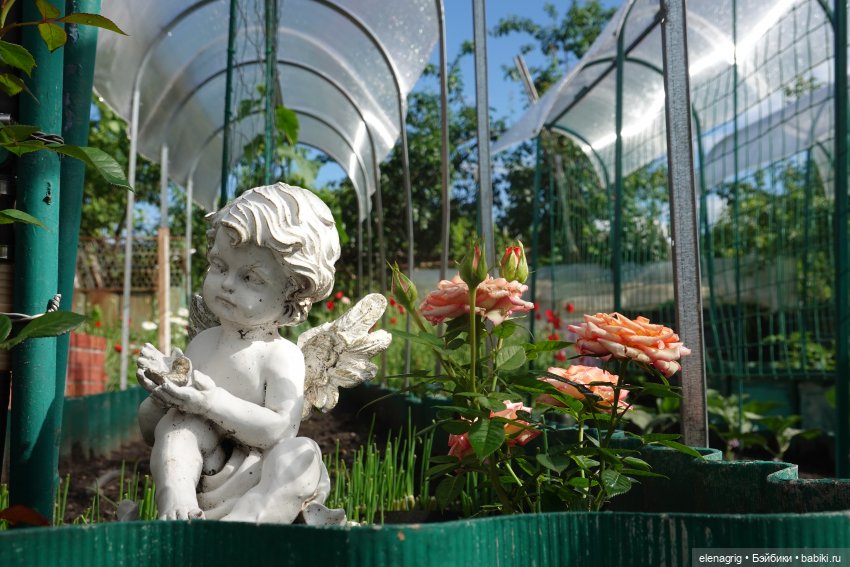 После дождя — Красивая природа и цветы: фото пейзажей