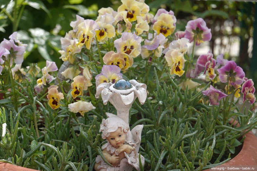 После дождя — Красивая природа и цветы: фото пейзажей