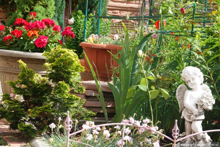 После дождя — Красивая природа и цветы: фото пейзажей