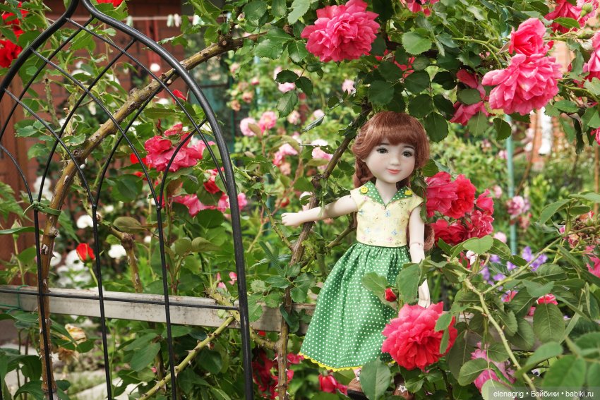 Куклы Ruby Red, Руби Ред Куклы Ruby Red, Руби Ред