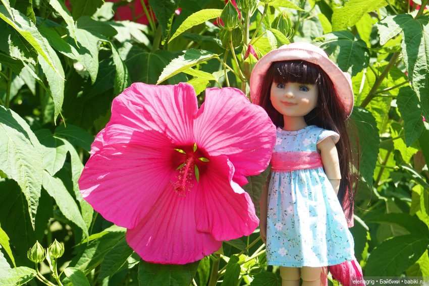 Куклы Ruby Red, Руби Ред