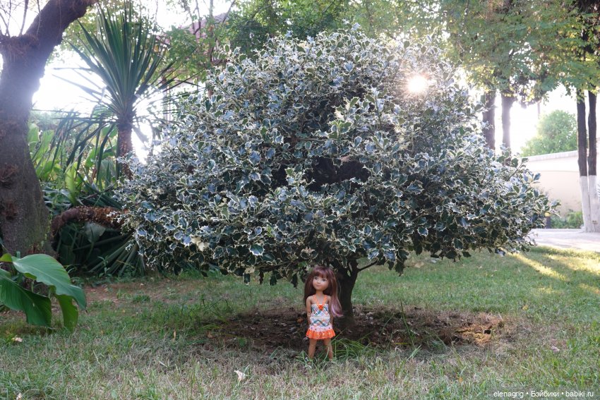 Куклы Ruby Red, Руби Ред