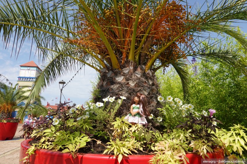 Девочки Руби Ред в Сочи-парке