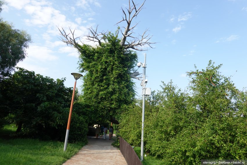 Девочки Руби Ред в Сочи-парке