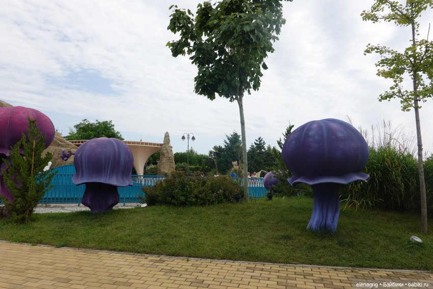 Девочки Руби Ред в Сочи-парке