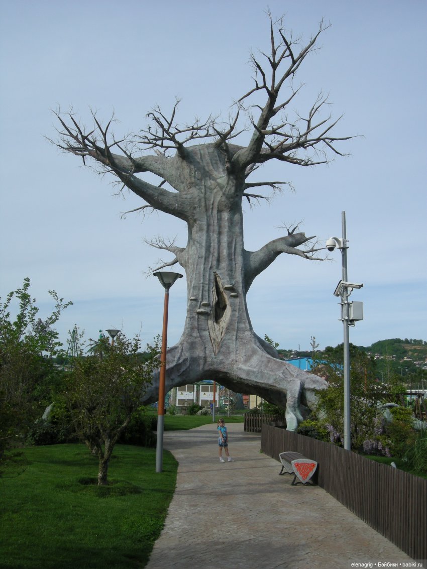 Девочки Руби Ред в Сочи-парке