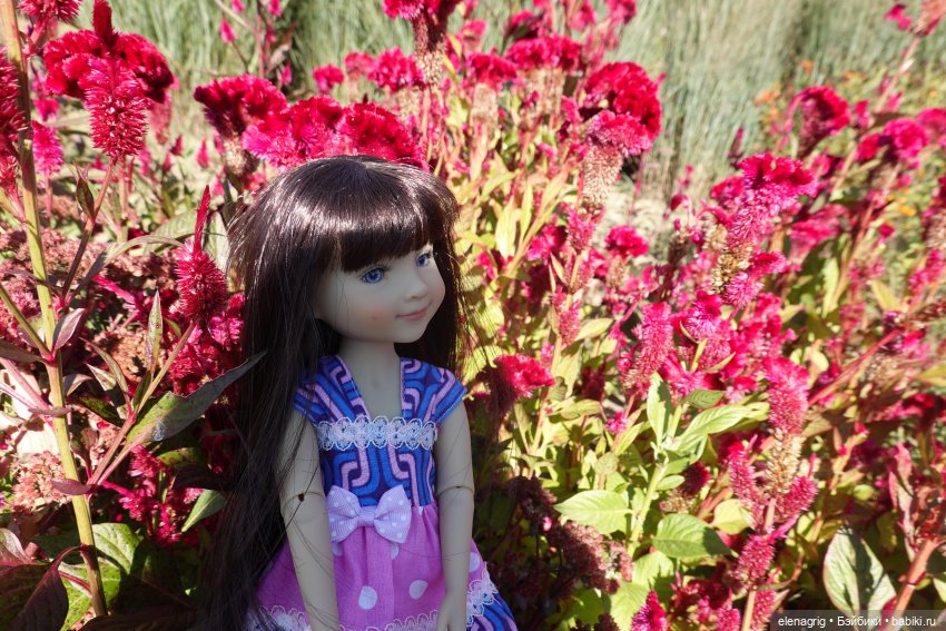 Куклы Ruby Red, Руби Ред Куклы Ruby Red, Руби Ред