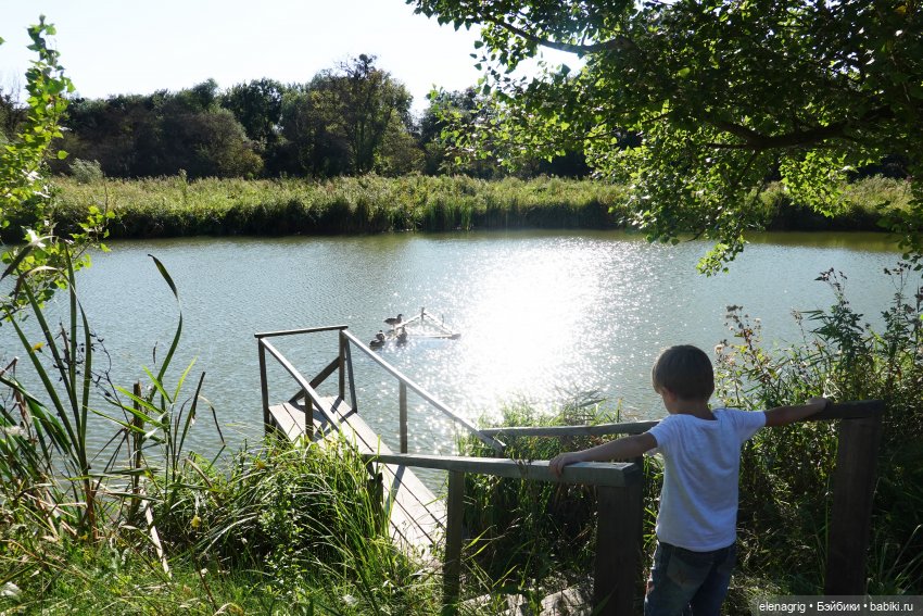Осенний поцелуй после жаркого лета | Бэйбики Осенний поцелуй после жаркого лета (фото 5)