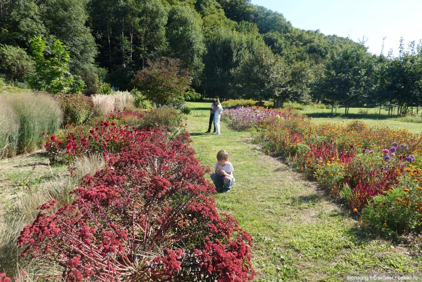 Осенний поцелуй после жаркого лета | Бэйбики Осенний поцелуй после жаркого лета