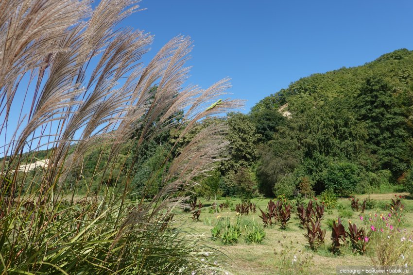 Осенний поцелуй после жаркого лета | Бэйбики Осенний поцелуй после жаркого лета (фото 3)