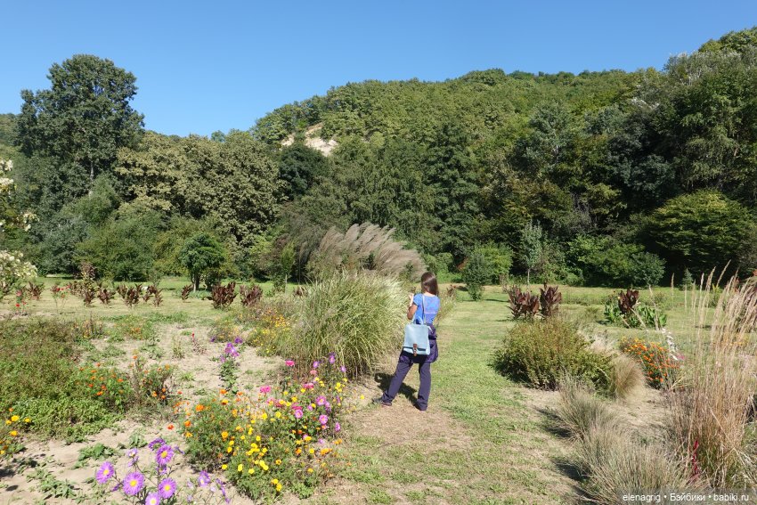 Осенний поцелуй после жаркого лета | Бэйбики Осенний поцелуй после жаркого лета (фото 2)