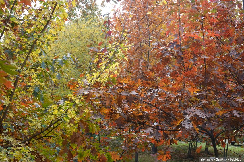 Осеннее — Игровые куклы Zwergnase (Цвергназе) Junior: Джуниор (фото 8)