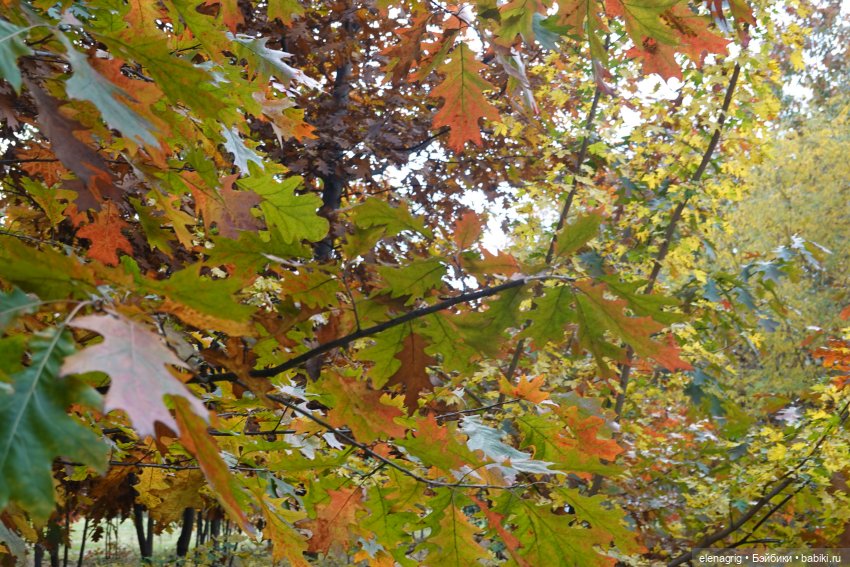 Осеннее — Игровые куклы Zwergnase (Цвергназе) Junior: Джуниор (фото 7)