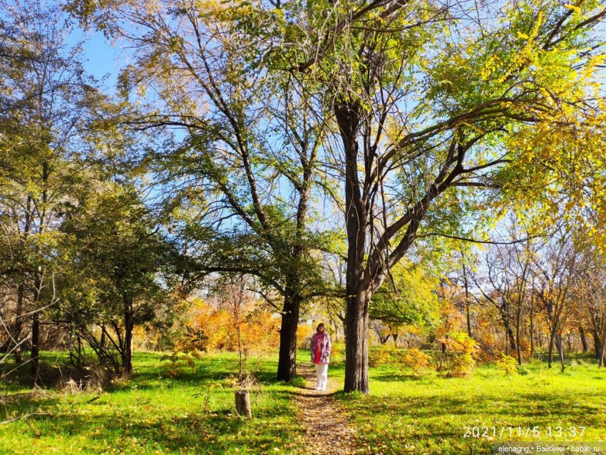Прогулки по Анапе в ноябре (фото 3)