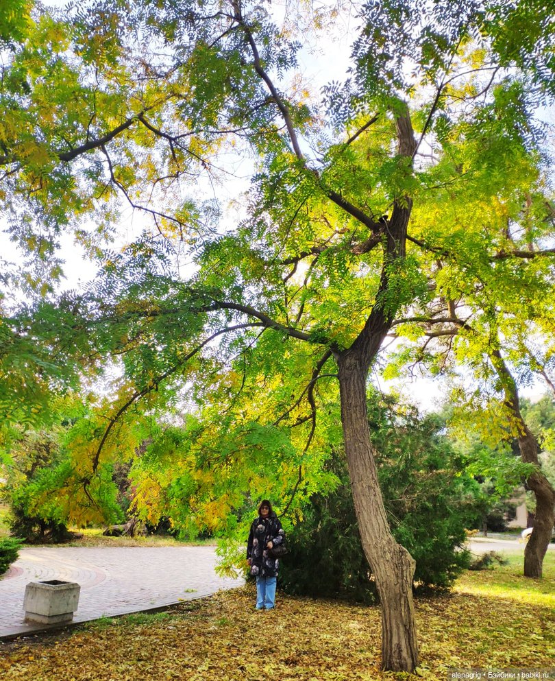 Прогулки по Анапе в ноябре (фото 5)