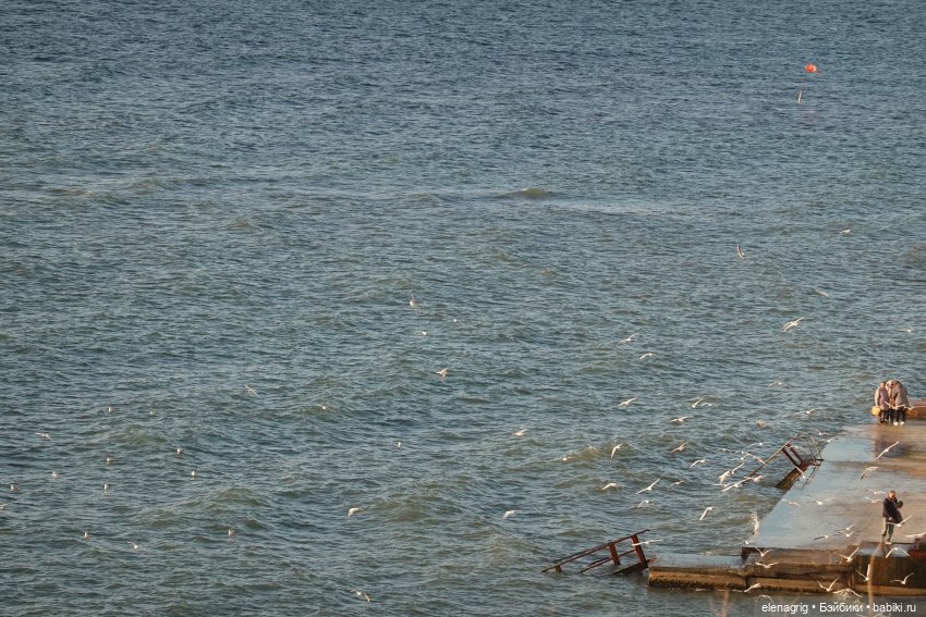 Прогулки по Анапе в ноябре (фото 9)