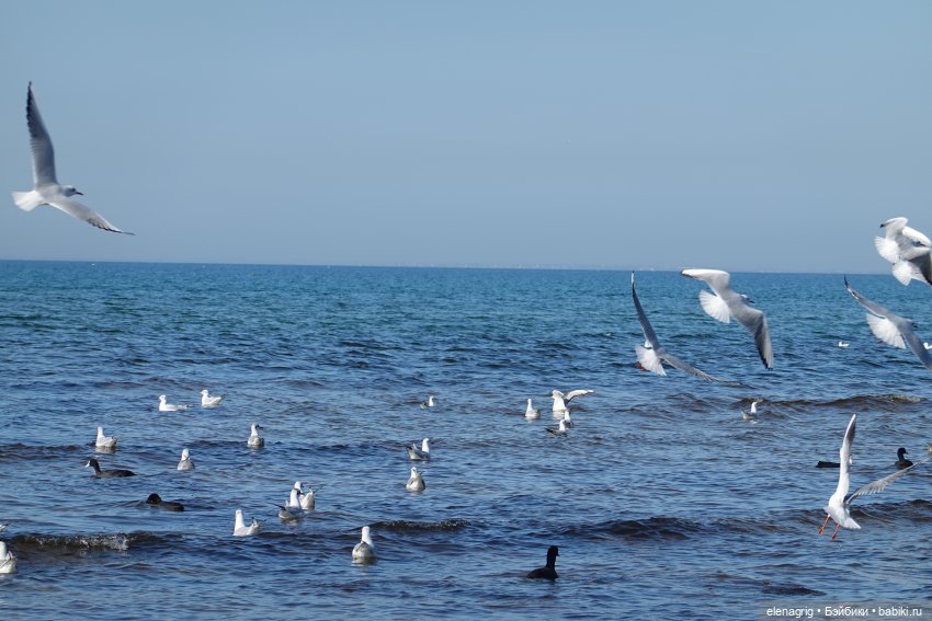 Куклы Ruby Red, Руби Ред