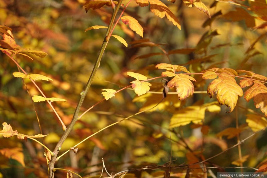 Прогулки по Анапе в ноябре