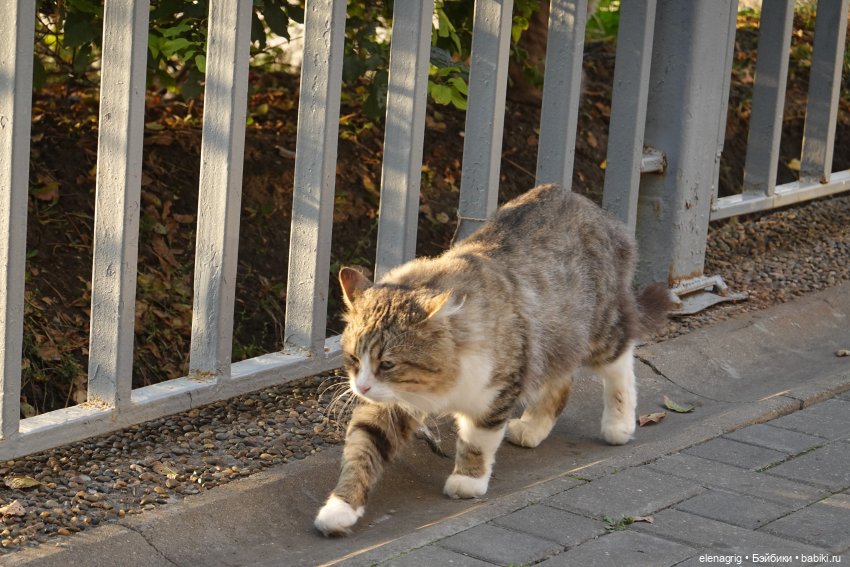 Прогулки по Анапе в ноябре