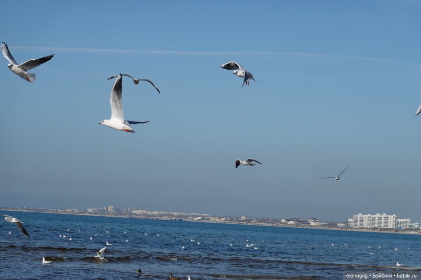 Прогулки по Анапе в ноябре