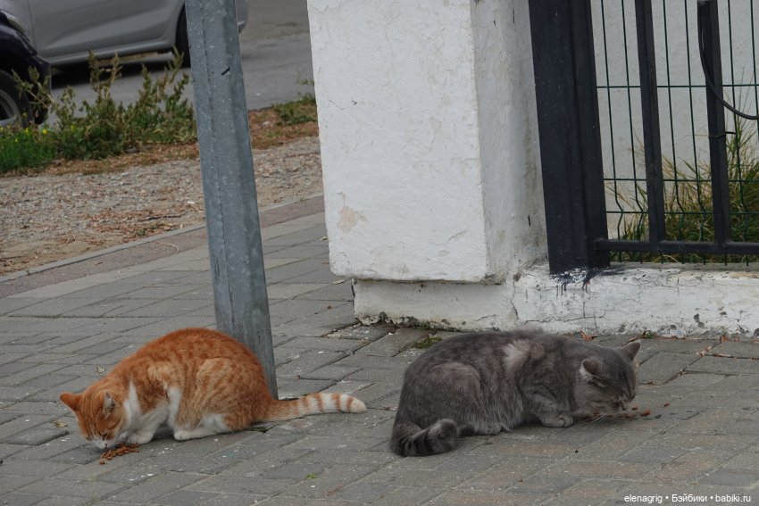 Прогулки по Анапе в ноябре