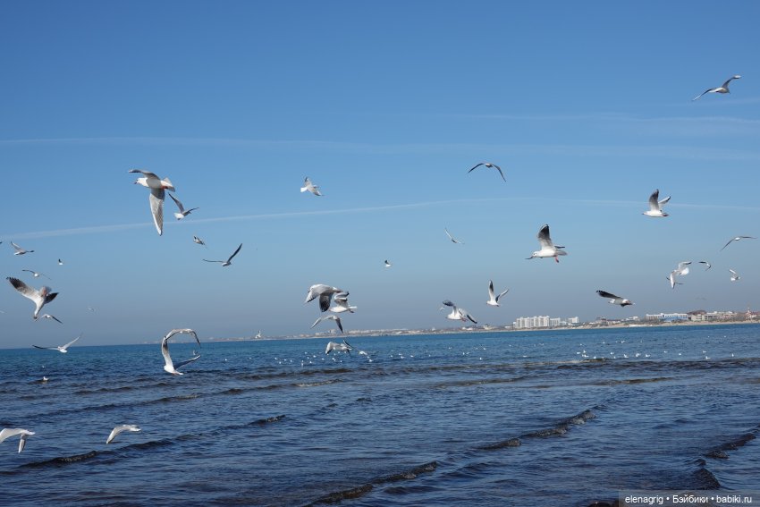 Прогулки по Анапе в ноябре