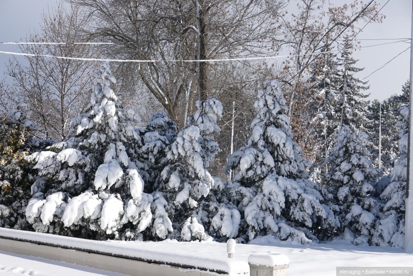 Южная зима — Куклы Ruby Red (Руби Ред) Fashion Friends: Siblies (фото 9)