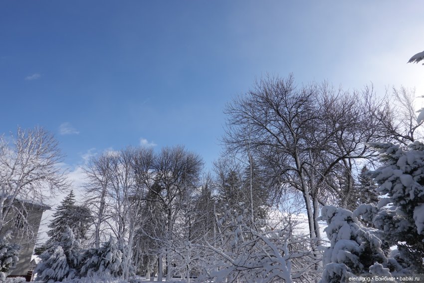 Южная зима — Куклы Ruby Red (Руби Ред) Fashion Friends: Siblies (фото 3)