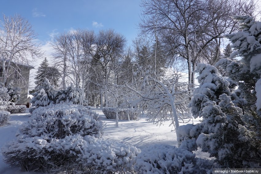 Южная зима — Куклы Ruby Red (Руби Ред) Fashion Friends: Siblies