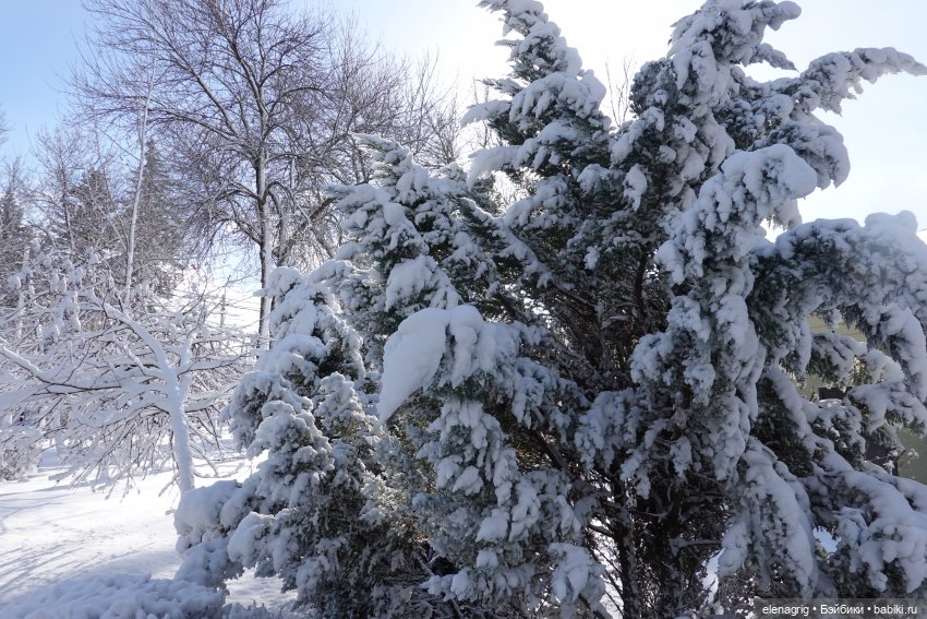 Южная зима — Куклы Ruby Red (Руби Ред) Fashion Friends: Siblies (фото 2)