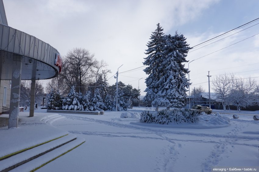 Южная зима — Куклы Ruby Red (Руби Ред) Fashion Friends: Siblies (фото 7)