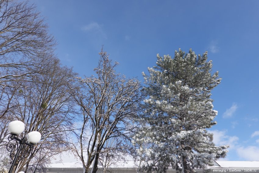 Южная зима — Куклы Ruby Red (Руби Ред) Fashion Friends: Siblies (фото 4)