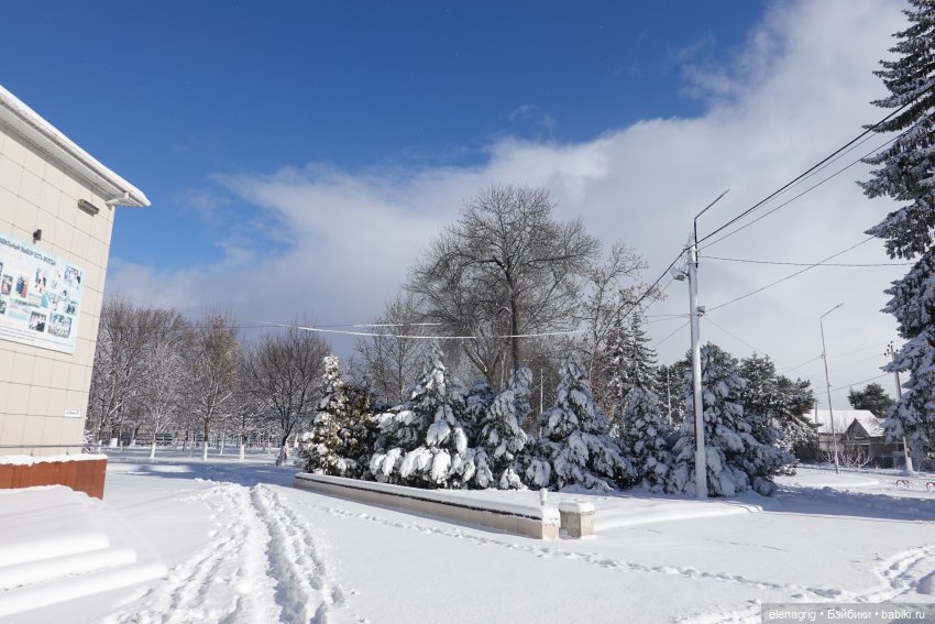 Южная зима — Куклы Ruby Red (Руби Ред) Fashion Friends: Siblies (фото 8)