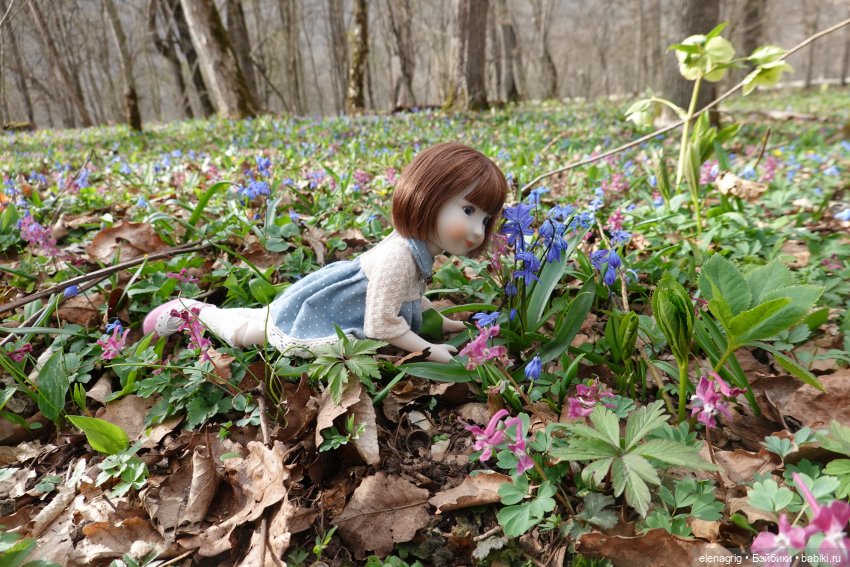 Куклы Ruby Red, Руби Ред