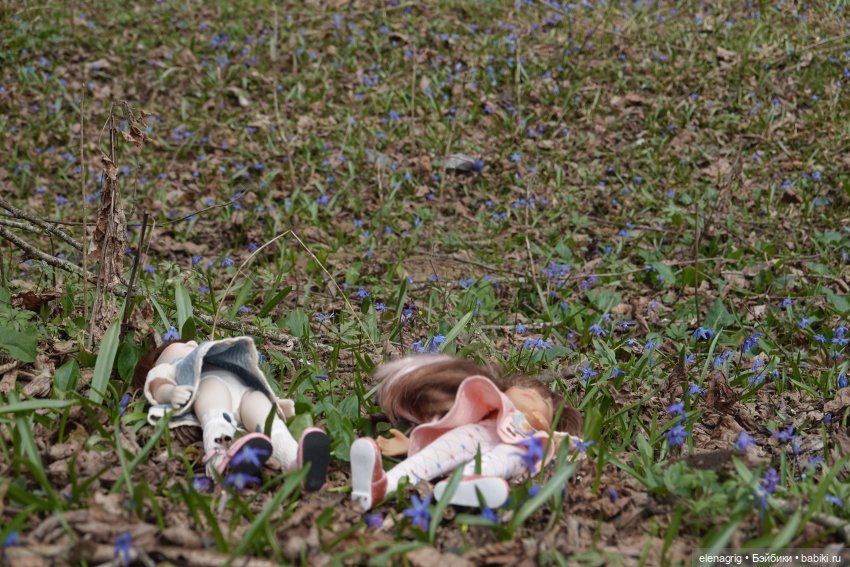 Опять весна на белом свете