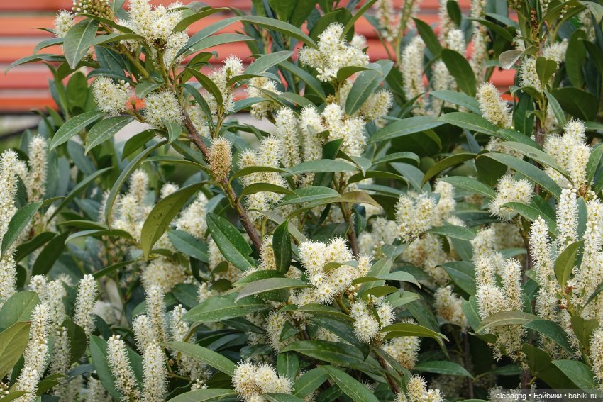 Море в апреле, открытие сезона