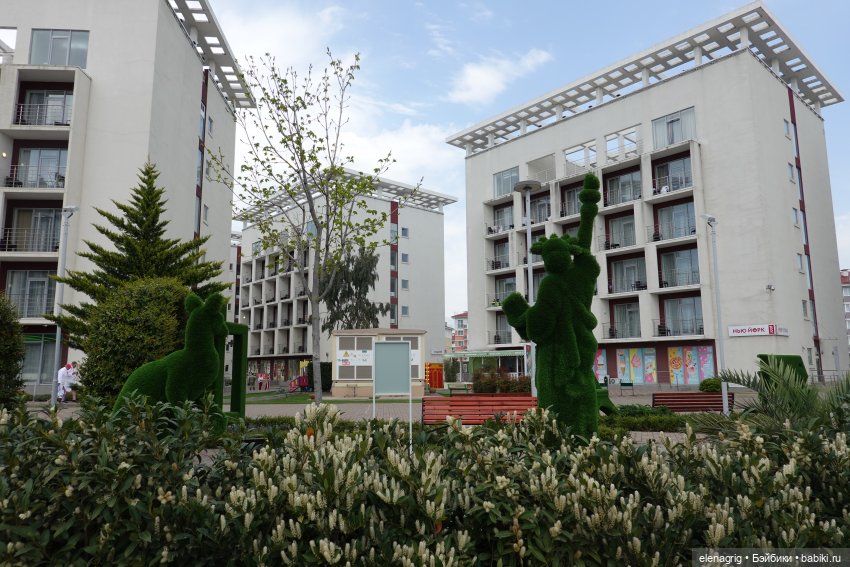 Море в апреле, открытие сезона (фото 2)