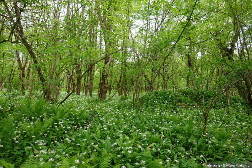 Верена весной — Игровые куклы Zwergnase (Цвергназе) Junior: Джуниор