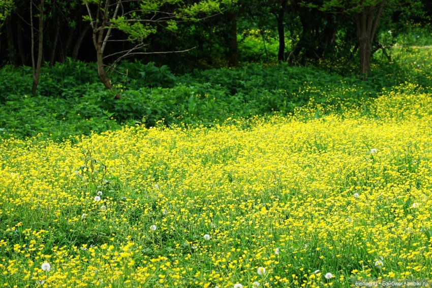 Верена весной — Игровые куклы Zwergnase (Цвергназе) Junior: Джуниор (фото 3)