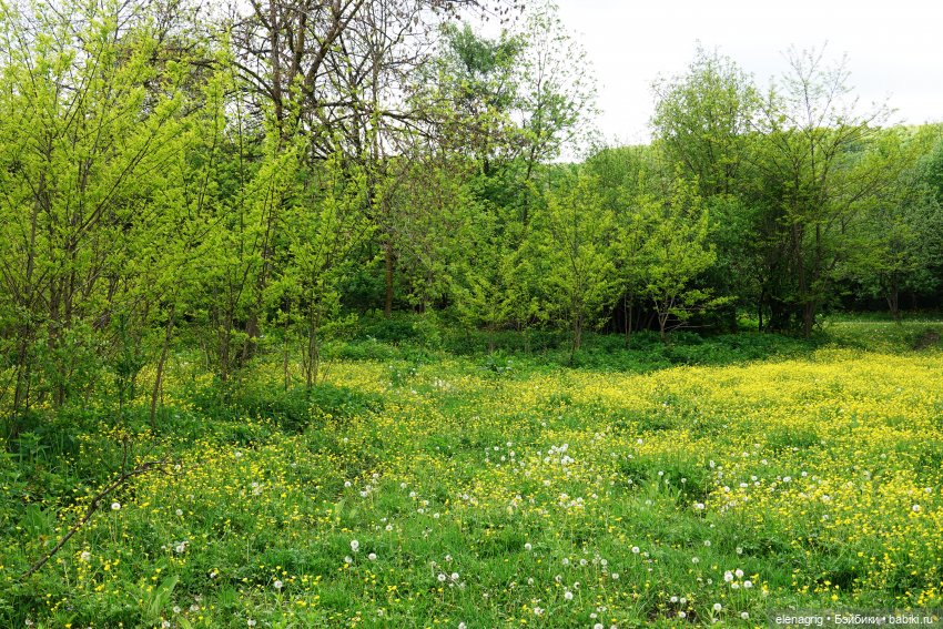 Верена весной — Игровые куклы Zwergnase (Цвергназе) Junior: Джуниор (фото 2)