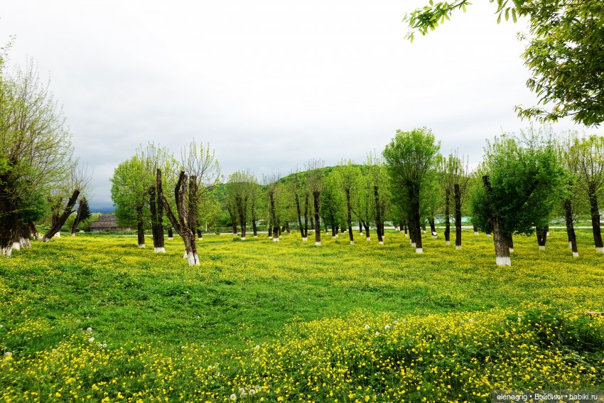 Верена весной — Игровые куклы Zwergnase (Цвергназе) Junior: Джуниор (фото 6)