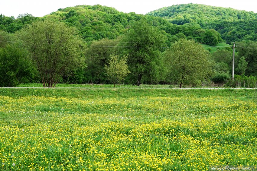 Верена весной — Игровые куклы Zwergnase (Цвергназе) Junior: Джуниор (фото 4)