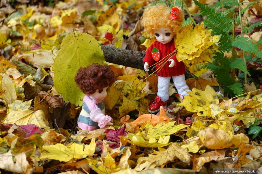 Мои конкурсы ( продолжение)